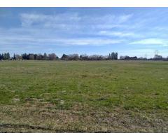 14+ Acres Irrigated Hay Land for Lease