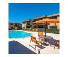 1 Bed 1 Bath Apartment in Irving