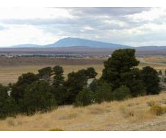 WY Land for Sale in Medicine Bow