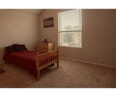 Room for Rent in Fremont