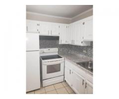 Newly renovated 2 bedroom apartment in Palatine Illinois